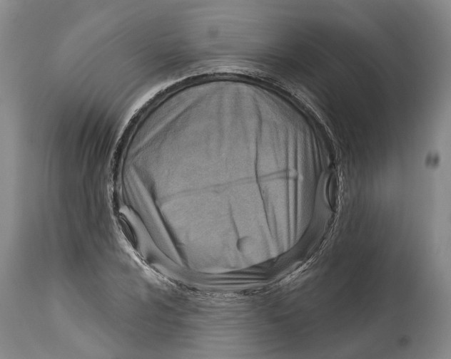 X0000115011024200911161555