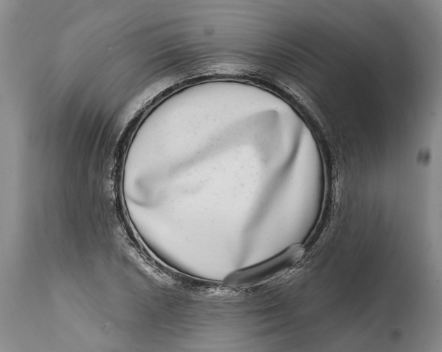 X0000115011026200911161555