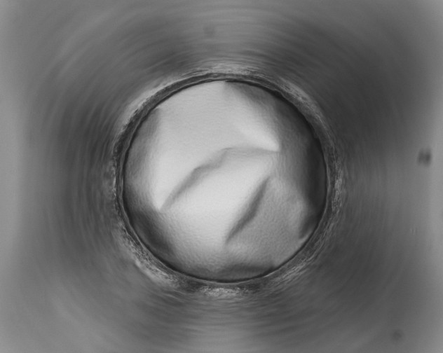 X0000115011027200911161555