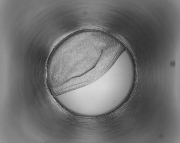X0000115011028200911161556