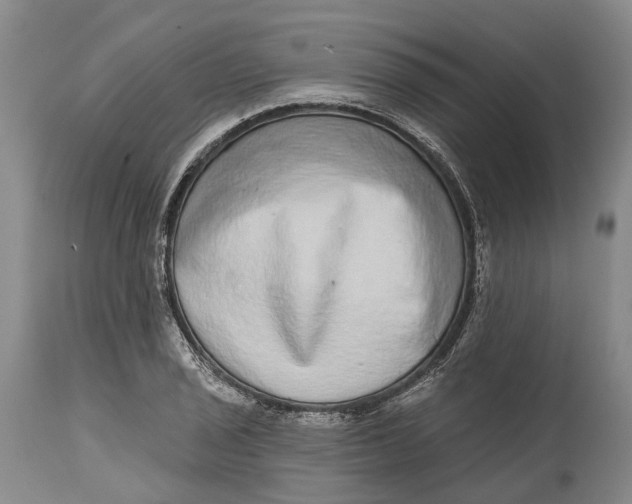 X0000115011029200911161556