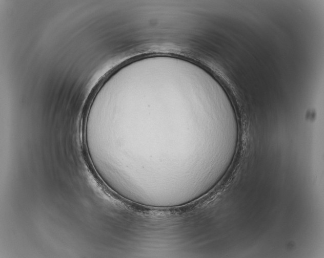 X0000115011032200911161556