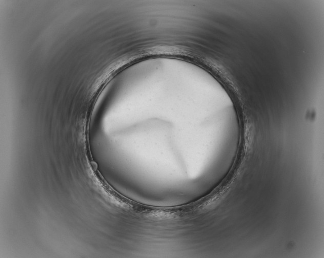 X0000115011033200911161556