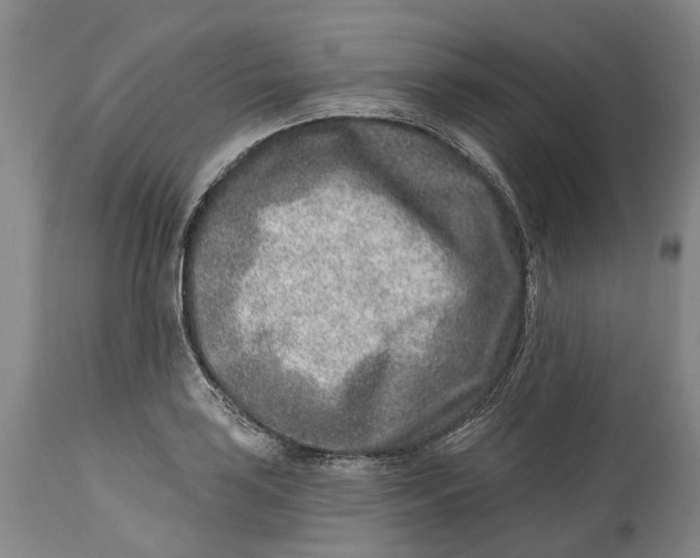 X0000115011035200911161556