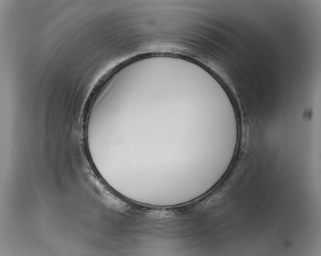 X0000115011037200911161556