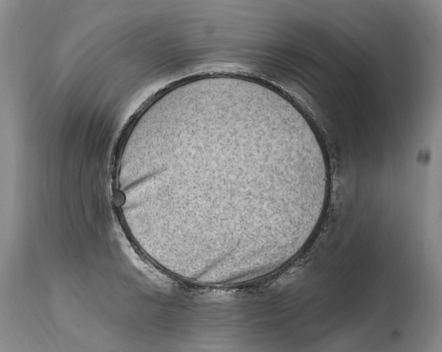 X0000115011038200911161556