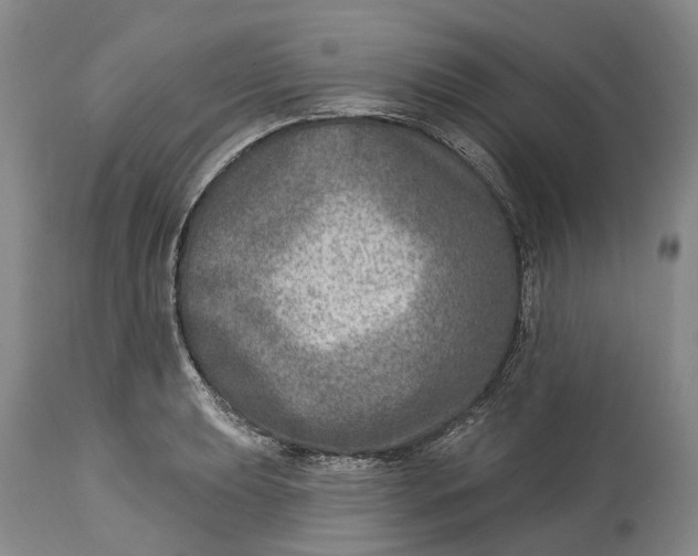 X0000115011039200911161556