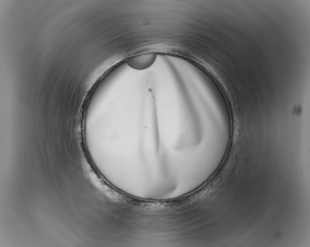 X0000115011042200911161556