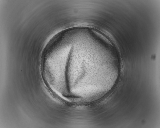 X0000115011043200911161556
