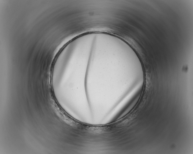 X0000115011044200911161556