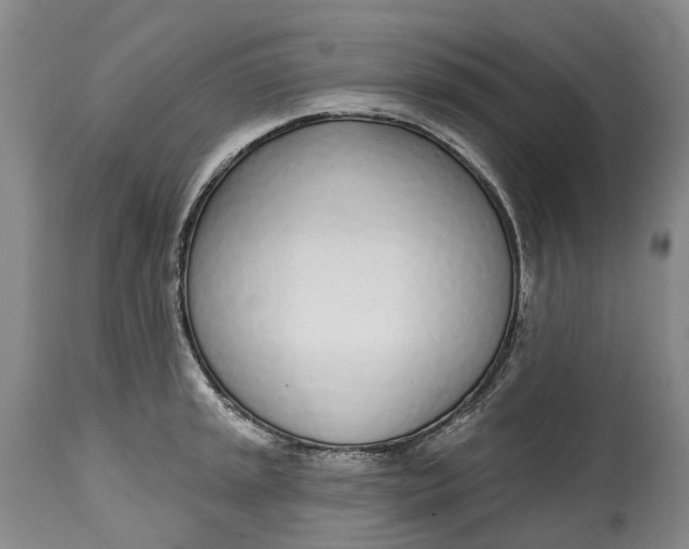 X0000115011045200911161556