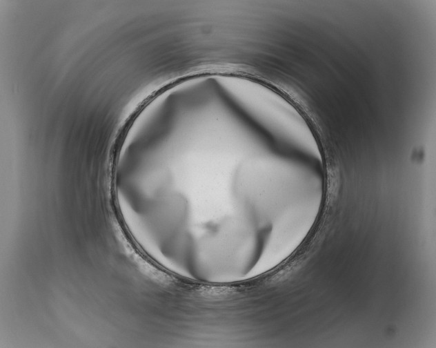 X0000115011046200911161556