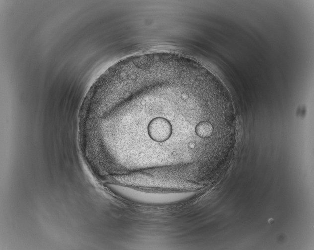 X0000115011047200911161556