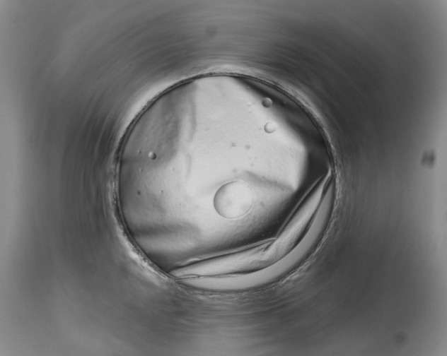 X0000115011048200911161556