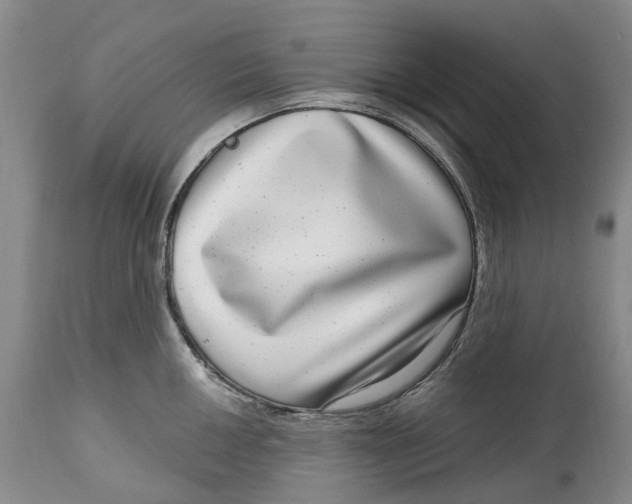 X0000115011050200911161556