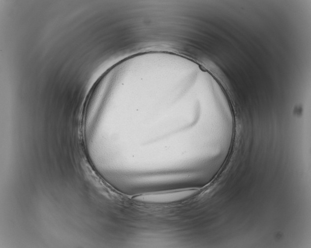 X0000115011052200911161556