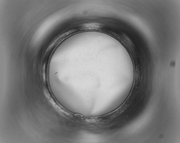 X0000115011054200911161556