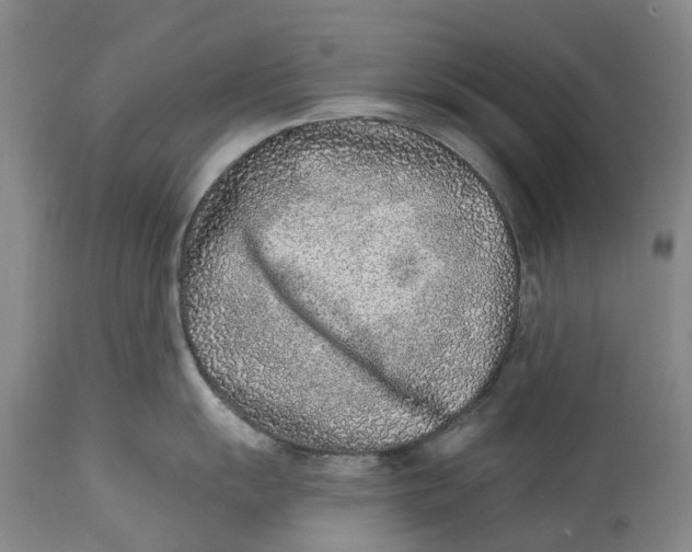 X0000115011055200911161556