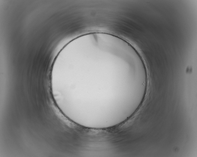 X0000115011056200911161556