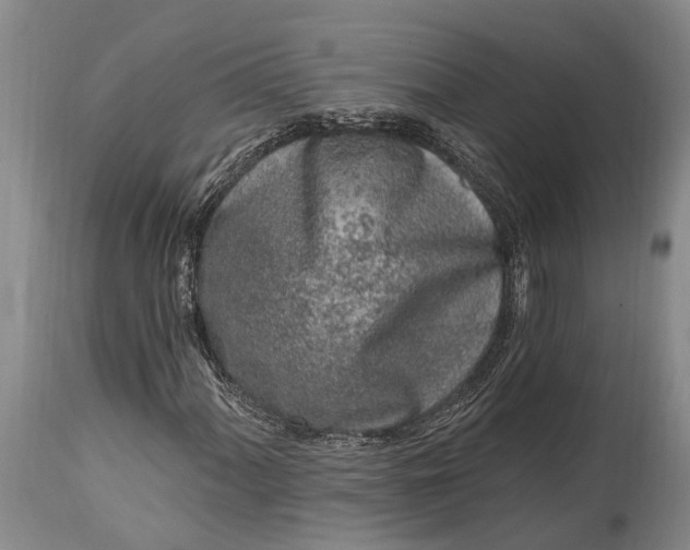 X0000115011060200911161555