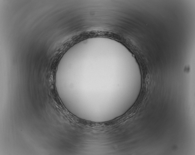 X0000115011062200911161555
