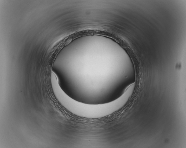 X0000115011064200911161555