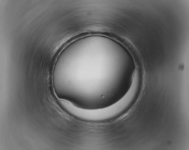 X0000115011065200911161555