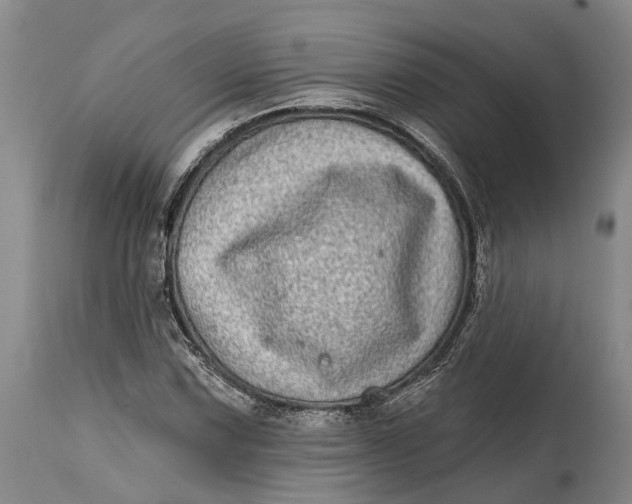 X0000115011067200911161555
