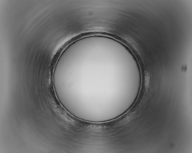 X0000115011069200911161555