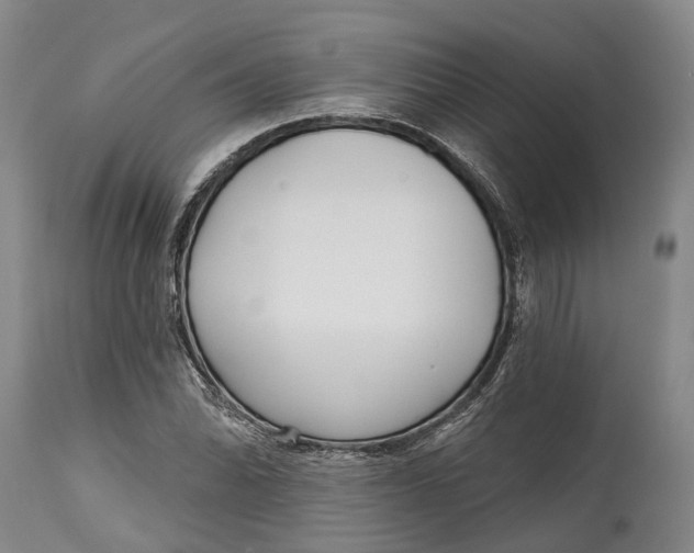 X0000115011070200911161555
