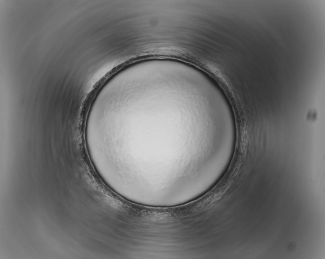 X0000115011071200911161555