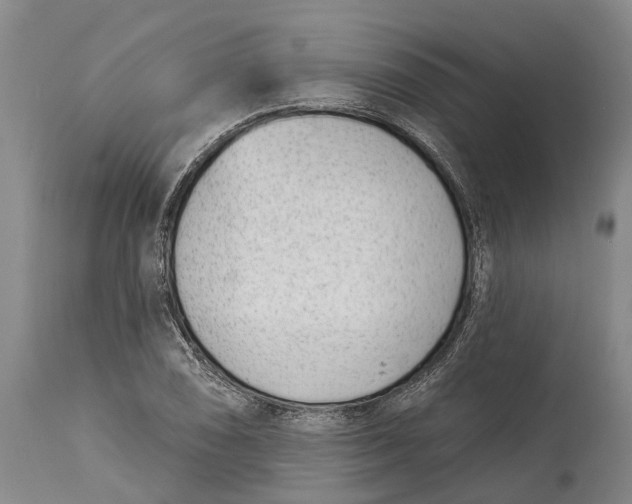 X0000115011074200911161555