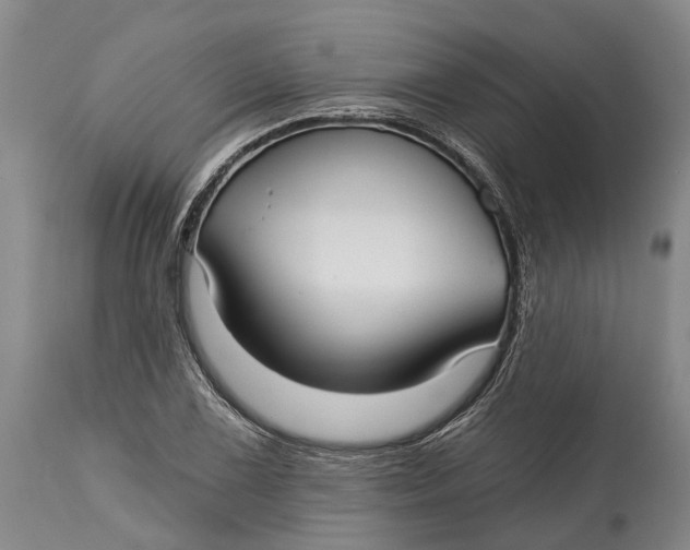 X0000115011075200911161555