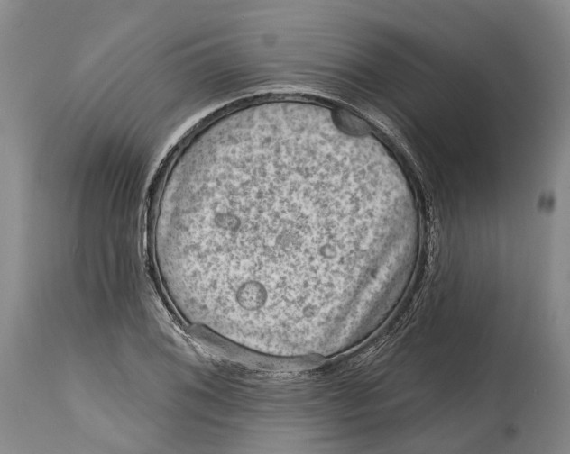 X0000115011076200911161555