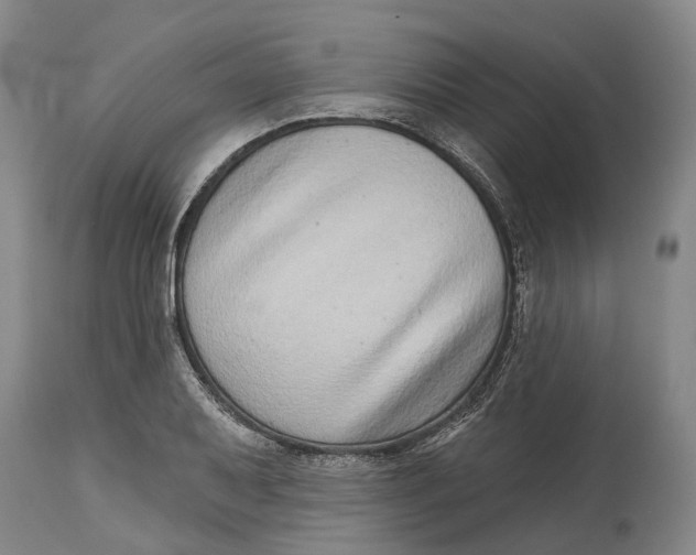 X0000115011079200911161555
