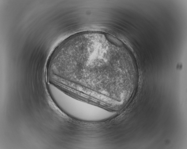 X0000115011080200911161555