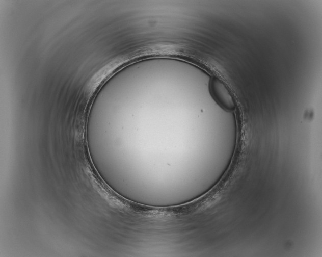 X0000115011081200911161555