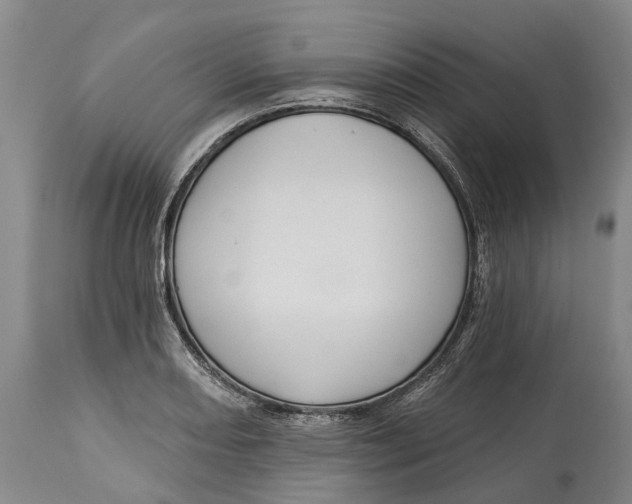 X0000115011082200911161555
