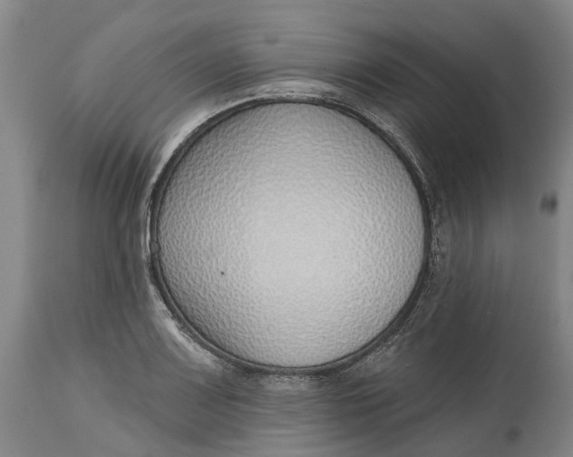 X0000115011083200911161555