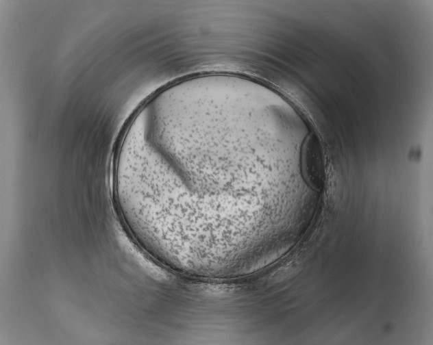 X0000115011084200911161555