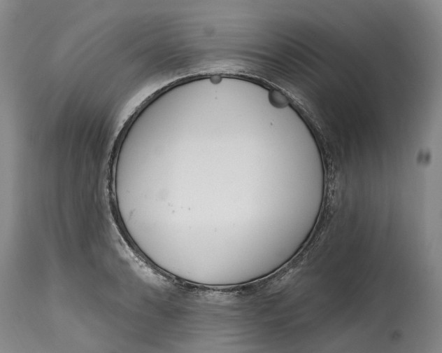 X0000115011086200911161555