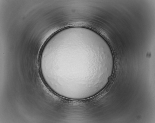 X0000115011087200911161555