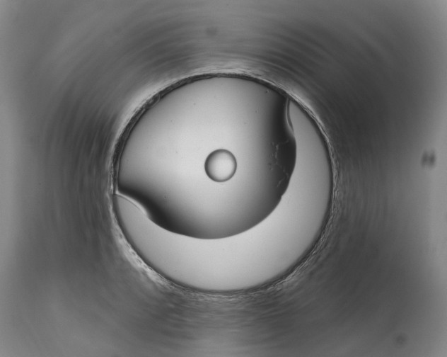 X0000115011088200911161555