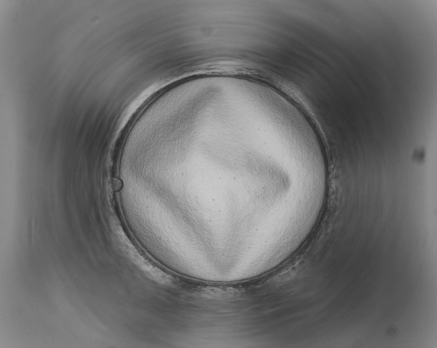 X0000115011091200911161555