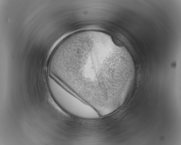 X0000115011092200911161555