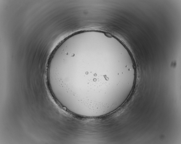 X0000115011093200911161555