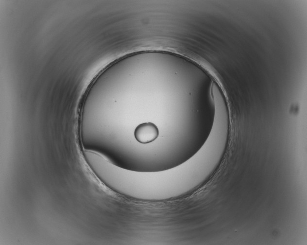 X0000115011096200911161555