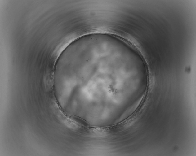 X0000115011097200911161555