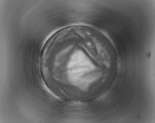 X0000115011100200911161554