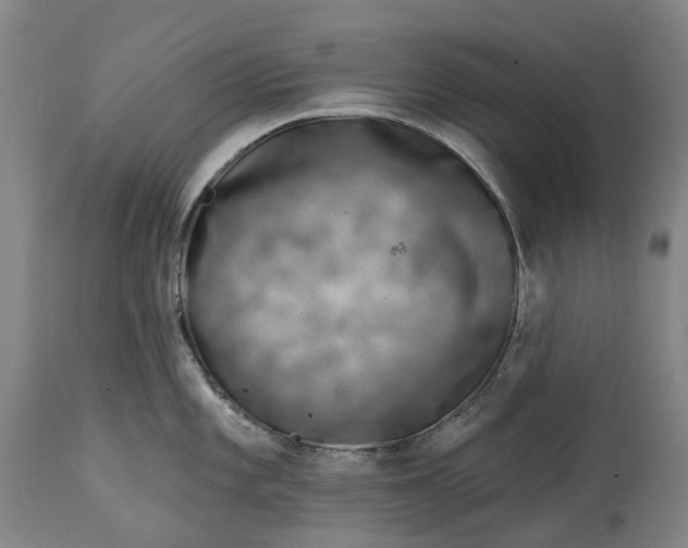 X0000115011101200911161554